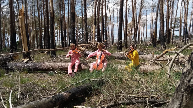 Wald. Auf einem umgestürzten Baum sitzen drei Personen. Zwei spielen Geige, die dritte Cello.