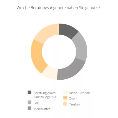 Kreisdiagramm über die Verteilung der genutzten Beratungsangebote